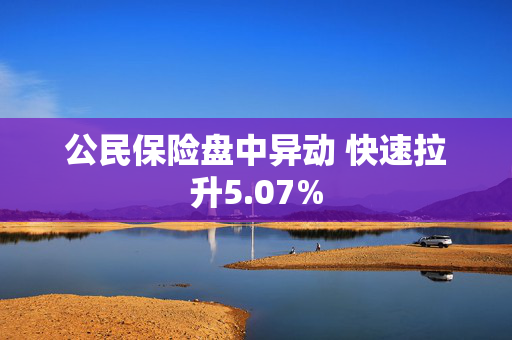 公民保险盘中异动 快速拉升5.07%