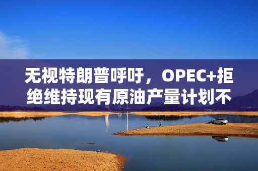 无视特朗普呼吁，OPEC+拒绝维持现有原油产量计划不变