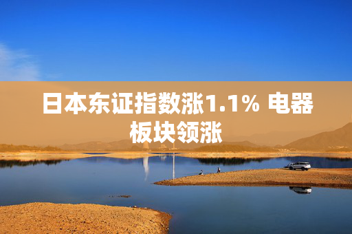 日本东证指数涨1.1% 电器板块领涨