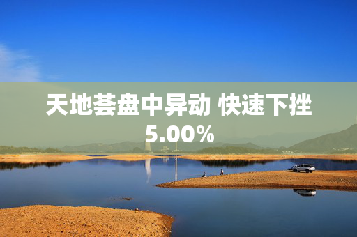 天地荟盘中异动 快速下挫5.00%