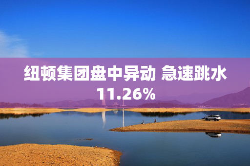 纽顿集团盘中异动 急速跳水11.26%