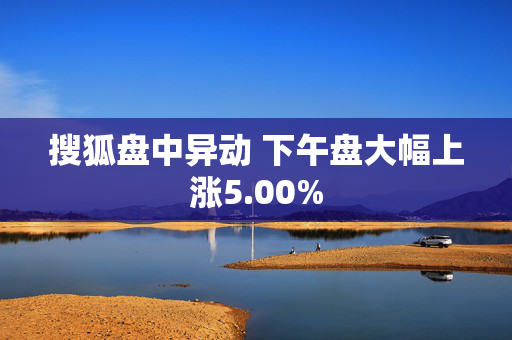 搜狐盘中异动 下午盘大幅上涨5.00%