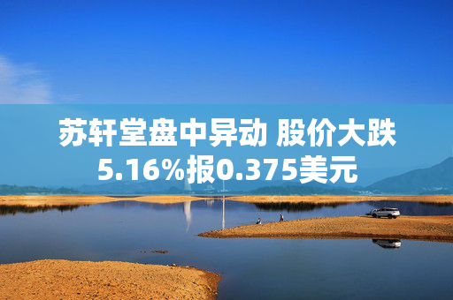 苏轩堂盘中异动 股价大跌5.16%报0.375美元