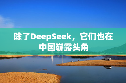 除了DeepSeek，它们也在中国崭露头角