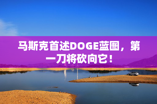 马斯克首述DOGE蓝图，第一刀将砍向它！