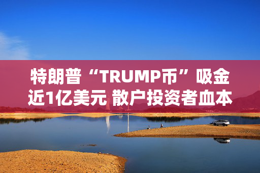 特朗普“TRUMP币”吸金近1亿美元 散户投资者血本无归