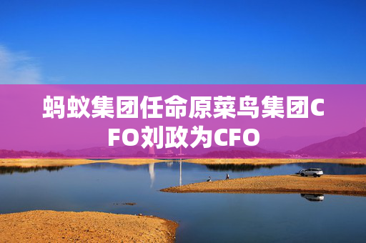 蚂蚁集团任命原菜鸟集团CFO刘政为CFO