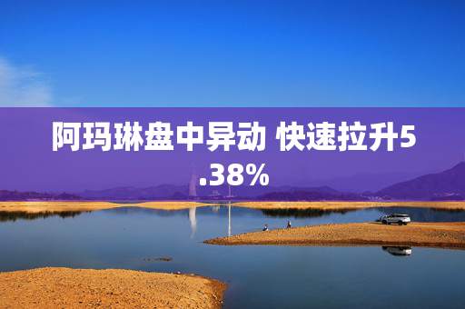 阿玛琳盘中异动 快速拉升5.38%