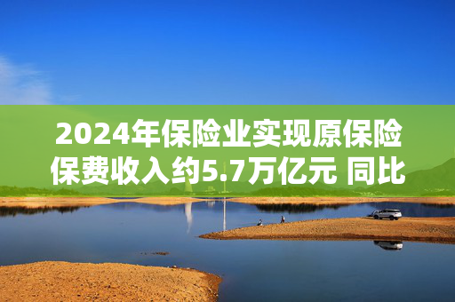 2024年保险业实现原保险保费收入约5.7万亿元 同比增长5.7%