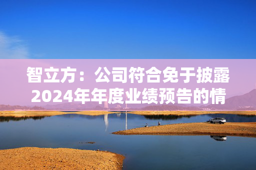 智立方：公司符合免于披露2024年年度业绩预告的情形