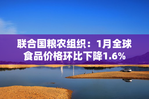 联合国粮农组织：1月全球食品价格环比下降1.6%