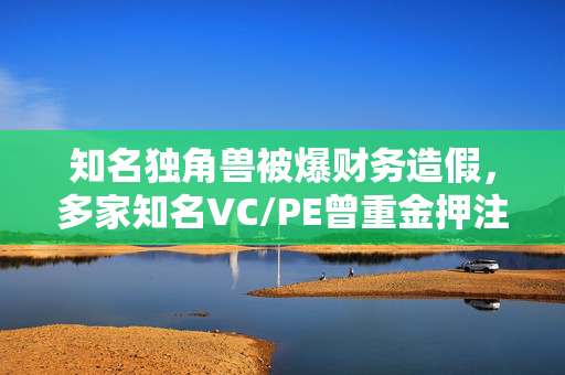 知名独角兽被爆财务造假，多家知名VC/PE曾重金押注