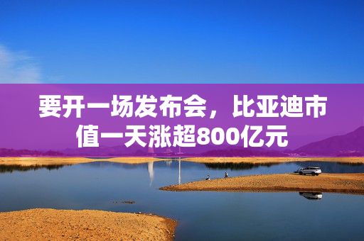 要开一场发布会，比亚迪市值一天涨超800亿元