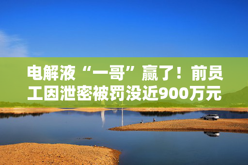 电解液“一哥”赢了！前员工因泄密被罚没近900万元