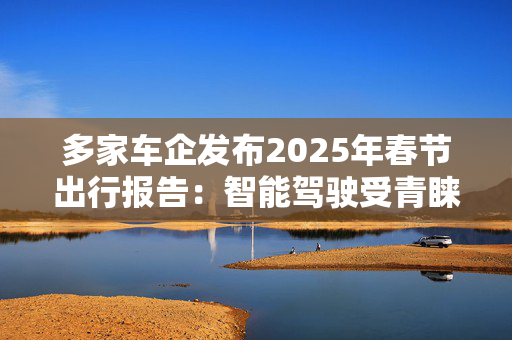 多家车企发布2025年春节出行报告：智能驾驶受青睐补能效率再提升