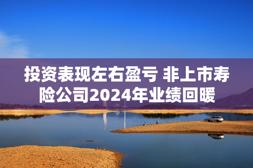 投资表现左右盈亏 非上市寿险公司2024年业绩回暖