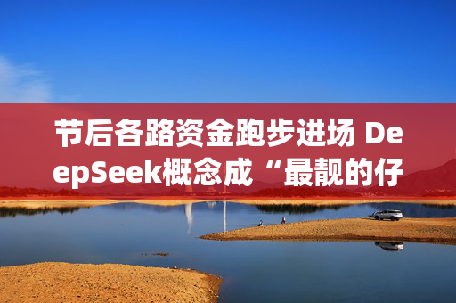 节后各路资金跑步进场 DeepSeek概念成“最靓的仔”