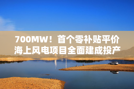 700MW！首个零补贴平价海上风电项目全面建成投产