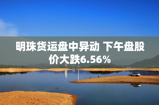 明珠货运盘中异动 下午盘股价大跌6.56%