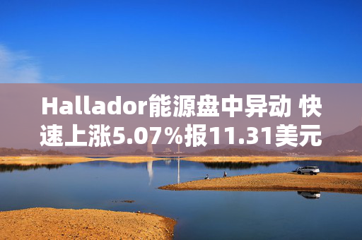 Hallador能源盘中异动 快速上涨5.07%报11.31美元