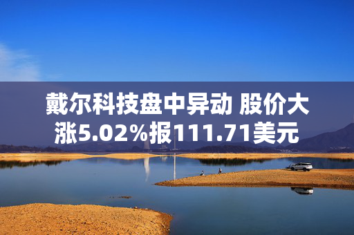 戴尔科技盘中异动 股价大涨5.02%报111.71美元