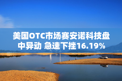 美国OTC市场赛安诺科技盘中异动 急速下挫16.19%