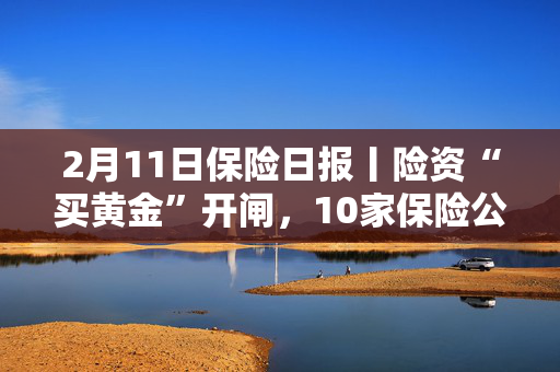 2月11日保险日报丨险资“买黄金”开闸，10家保险公司先行！行业净资产大涨21%，多家银行系险企却现“腰斩”