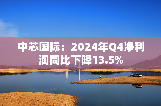 中芯国际：2024年Q4净利润同比下降13.5%