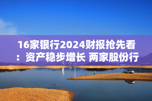 16家银行2024财报抢先看：资产稳步增长 两家股份行营收下降