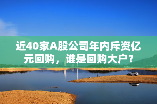 近40家A股公司年内斥资亿元回购，谁是回购大户？