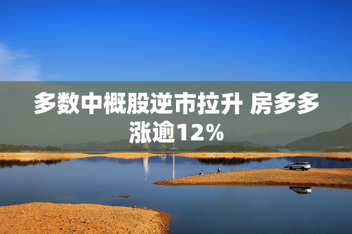 多数中概股逆市拉升 房多多涨逾12%