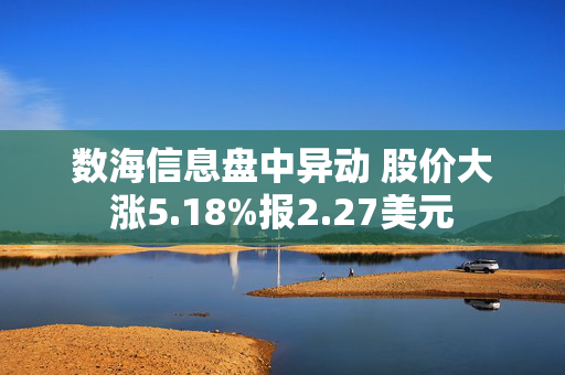 数海信息盘中异动 股价大涨5.18%报2.27美元