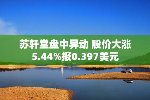 苏轩堂盘中异动 股价大涨5.44%报0.397美元