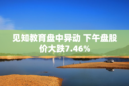 见知教育盘中异动 下午盘股价大跌7.46%