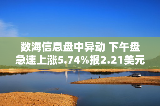 数海信息盘中异动 下午盘急速上涨5.74%报2.21美元