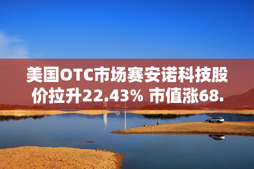 美国OTC市场赛安诺科技股价拉升22.43% 市值涨68.77万美元