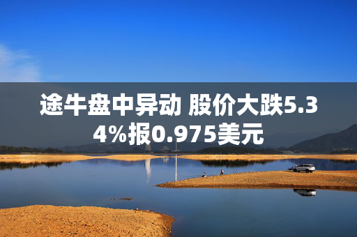 途牛盘中异动 股价大跌5.34%报0.975美元