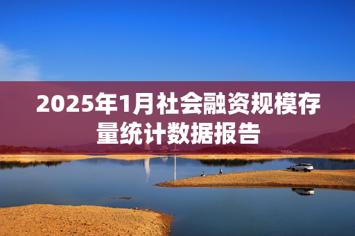 2025年1月社会融资规模存量统计数据报告