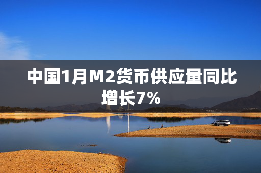 中国1月M2货币供应量同比增长7%