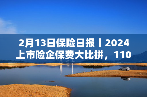 2月13日保险日报丨2024上市险企保费大比拼，110家险企董监高薪酬起底，非上市险企投资收益率走高