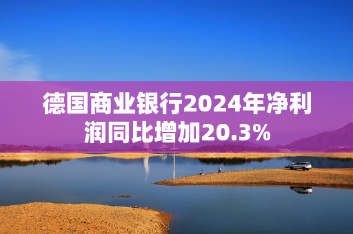 德国商业银行2024年净利润同比增加20.3%