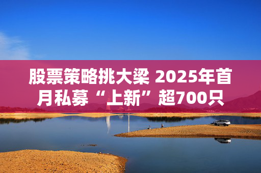 股票策略挑大梁 2025年首月私募“上新”超700只