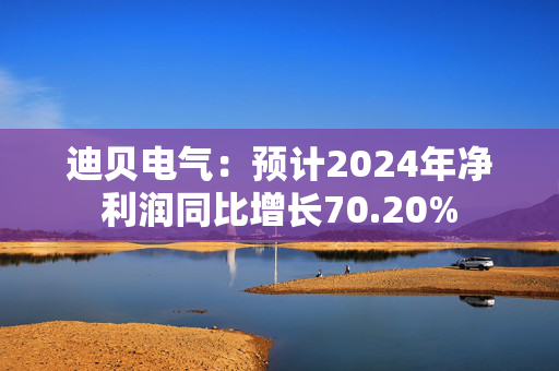 迪贝电气：预计2024年净利润同比增长70.20%