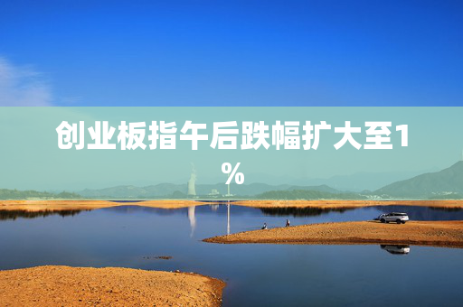 创业板指午后跌幅扩大至1%