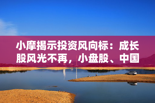 小摩揭示投资风向标：成长股风光不再，小盘股、中国科技股迎来春天