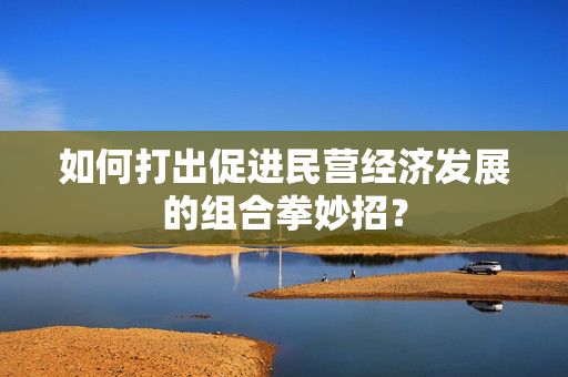 如何打出促进民营经济发展的组合拳妙招？