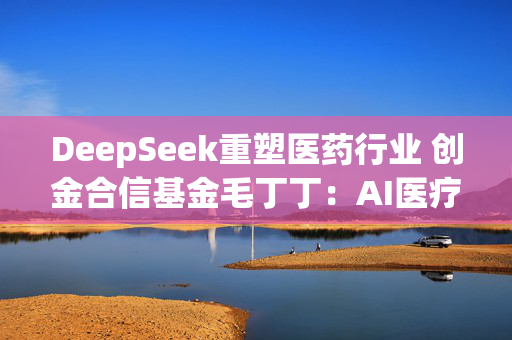 DeepSeek重塑医药行业 创金合信基金毛丁丁：AI医疗有望成为大级别的新兴技术方向