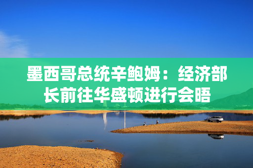 墨西哥总统辛鲍姆：经济部长前往华盛顿进行会晤