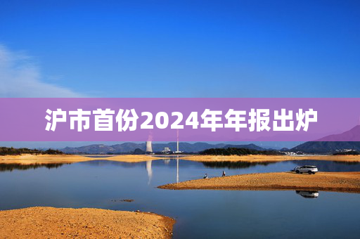 沪市首份2024年年报出炉