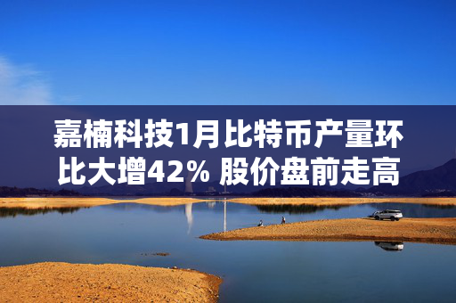 嘉楠科技1月比特币产量环比大增42% 股价盘前走高